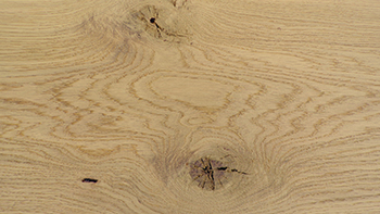 Oak (European Character)