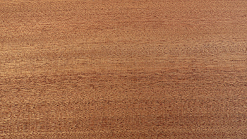 Sapele