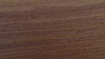 Walnut (American Black)